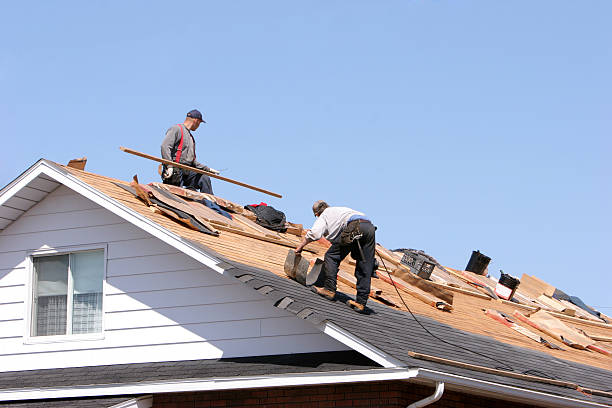 Steel Roofing in Lenape Heights, PA